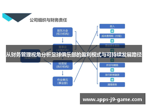 从财务管理视角分析足球俱乐部的盈利模式与可持续发展路径 从财务管理视角分析足球俱乐部的盈利模式与可持续发展路径
