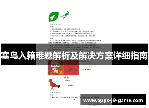 塞鸟入籍难题解析及解决方案详细指南