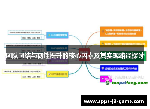 团队团结与韧性提升的核心因素及其实现路径探讨