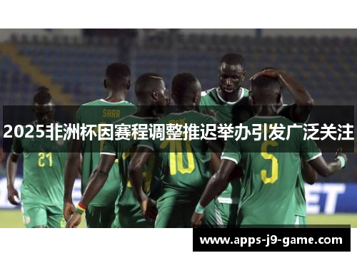 2025非洲杯因赛程调整推迟举办引发广泛关注