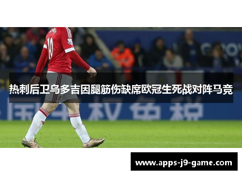 热刺后卫乌多吉因腿筋伤缺席欧冠生死战对阵马竞
