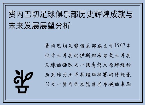 费内巴切足球俱乐部历史辉煌成就与未来发展展望分析